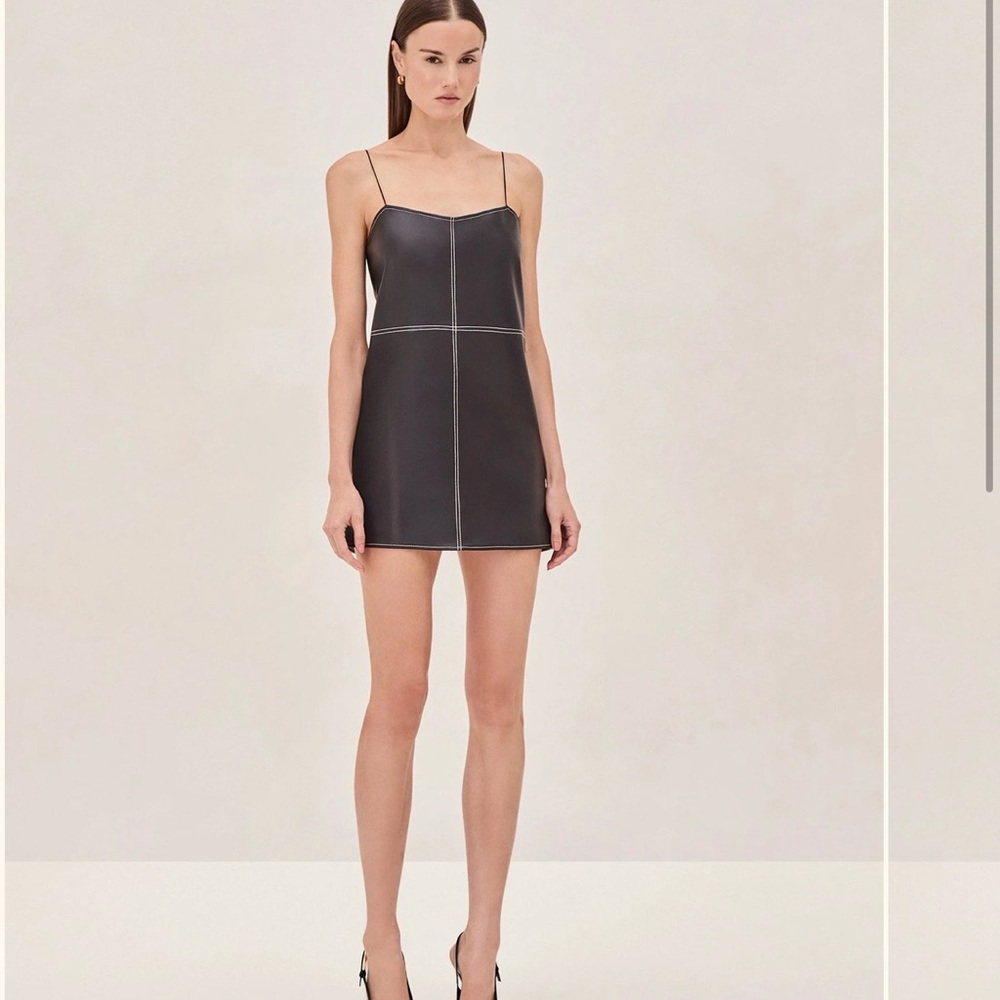 Alexis amery dresss